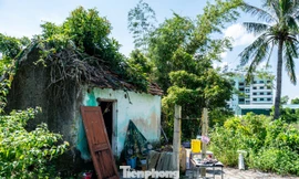 Sống khổ vì mắc kẹt trong dự án quy hoạch 'treo' gần 20 năm ở Quảng Ninh