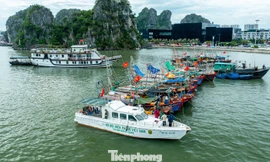 Quảng Ninh cấm biển, tàu thuyền hối hả chạy vào bờ tránh bão 