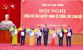 Tỉnh ủy Cao Bằng trao quyết định về công tác cán bộ