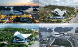 Quảng Ninh hồi sinh thần tốc sau một năm bị bão số 3 tàn phá