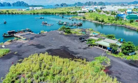 Thông tin về bàn giao đất cho dự án điện khí hơn 2,2 tỷ USD ở Quảng Ninh