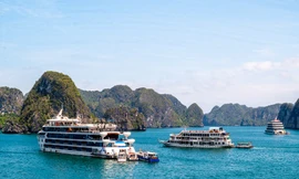Lắp đặt thiết bị liên lạc AIS trên toàn bộ tàu tham quan vịnh Hạ Long