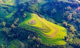 Đẹp ngất ngây ruộng bậc thang ở thung lũng Lục Hồn 