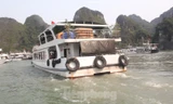 Các tàu du lịch hoạt động trên vịnh Hạ Long. Ảnh: Lộc Liên.