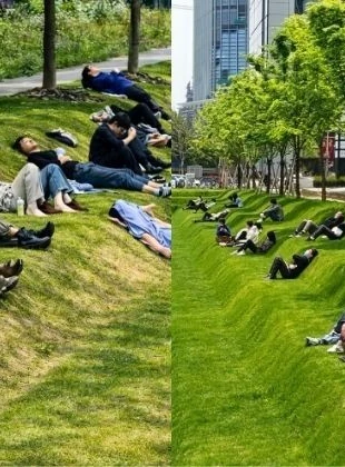 Bãi cỏ bậc thang ở Thượng Hải hóa "chốn ngả lưng" giờ nghỉ trưa cho hội công sở