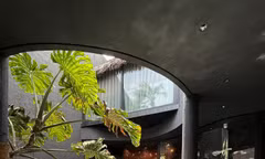 Ngôi nhà tông màu đen như 'ốc đảo' giữa lòng thành phố