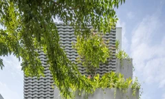 Thiết kế nhà ống với hệ vỏ nhiệt đới