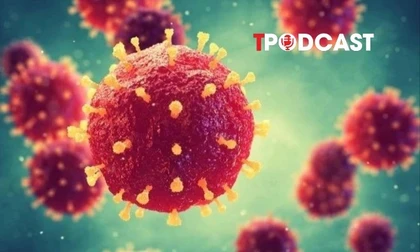 NÓNG 27/1: Virus Nipah nguy hiểm thế nào, bùng phát ở Ấn Độ ra sao?
