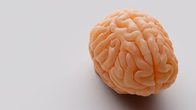 4 bí quyết cho sức khỏe não bộ