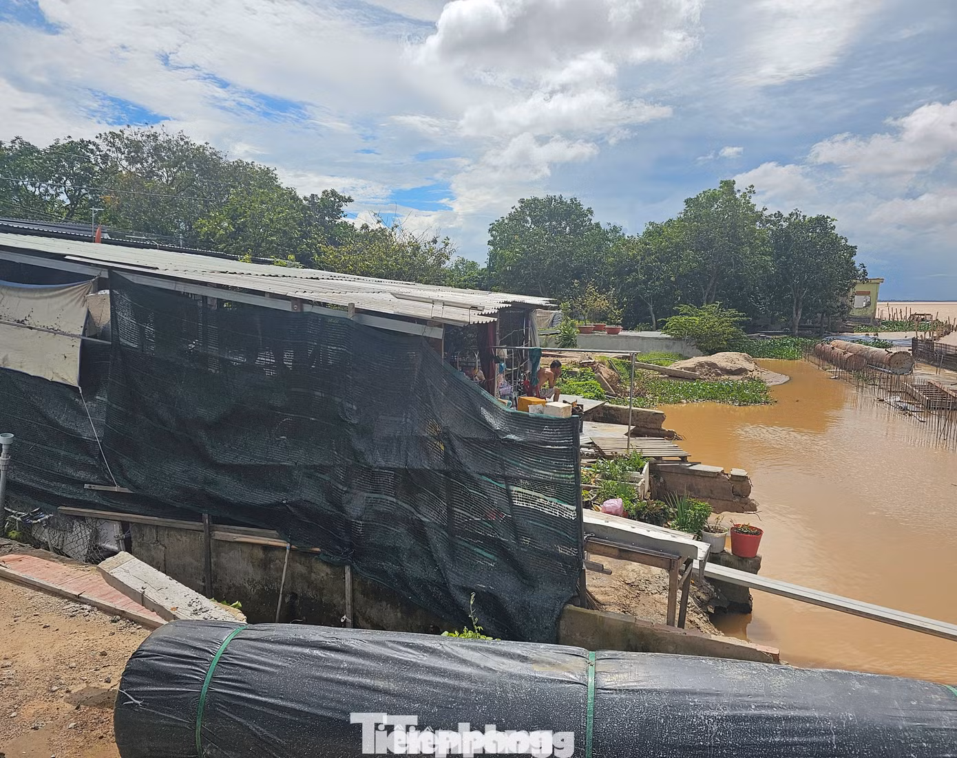 tp-15-8728.jpg