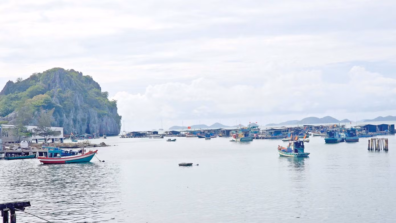 anh-3-2432.jpg