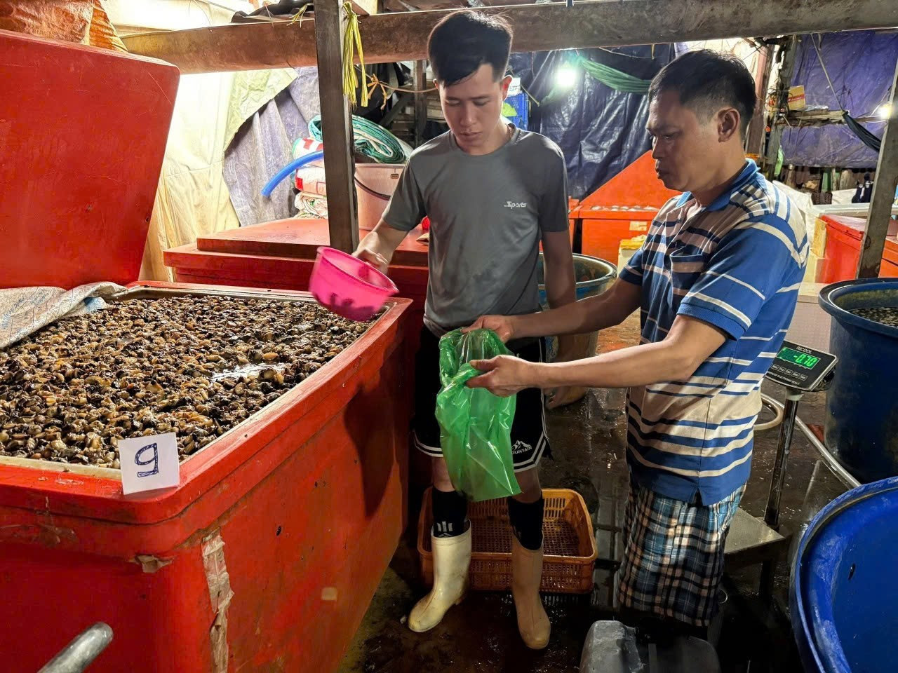 Kinh hoàng đường dây 'phù phép' 3.000 tấn thịt ốc bằng hóa chất công nghiệp