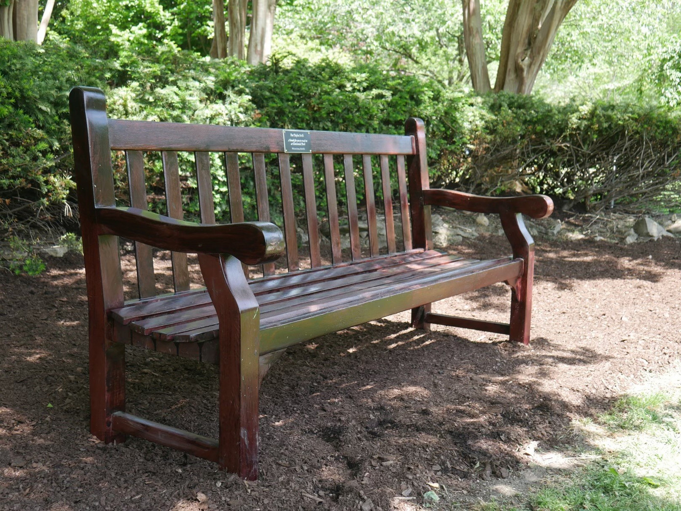 Món quà bình dị nhưng đầy đặc biệt của Nashville dành tặng Taylor.