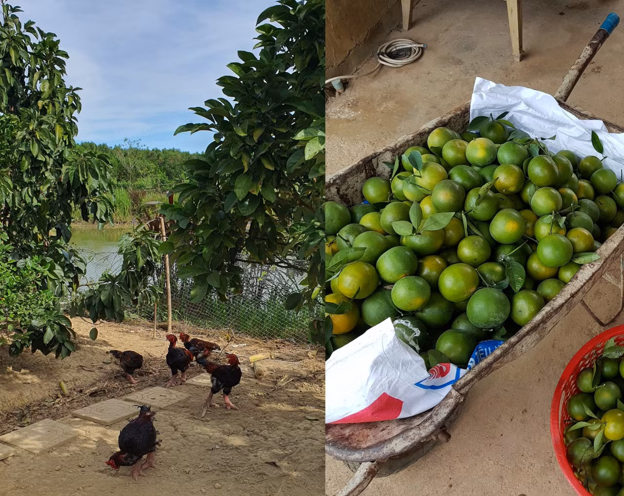 thiet-ke-chua-co-ten-2.png