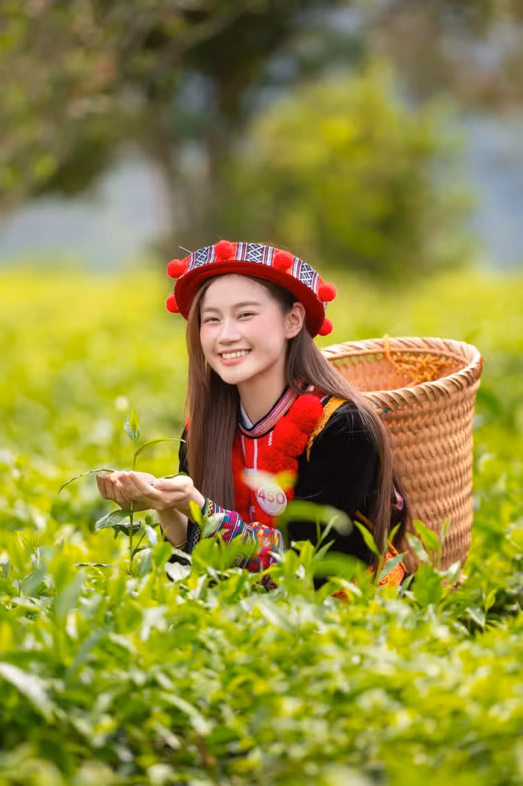 nguyen-ngoc-thao-nguyen.jpg