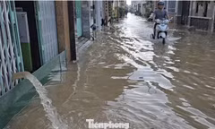 Triều cường đỉnh điểm dự kiến ngày 28/9 tại Cần Thơ vượt kỷ lục năm ngoái, gây ngập lụt diện rộng và ảnh hưởng sinh hoạt người dân.