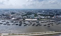 Siết quản lý quan trắc môi trường, cảnh báo ngay dấu hiệu bất thường