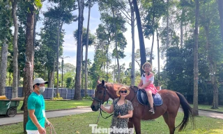 Du khách xếp hàng cưỡi 'tuấn mã'