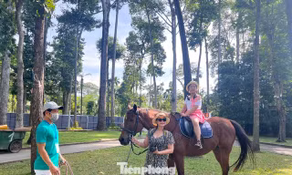 Du khách xếp hàng cưỡi 'tuấn mã'