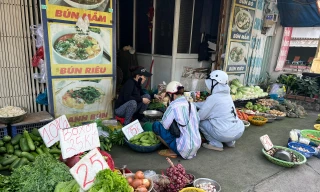 Hàng loạt rau củ bất ngờ chỉ còn 10.000 đồng/kg