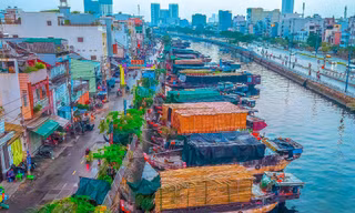 TPHCM có những chợ hoa, đường hoa nào dịp Tết Bính Ngọ 2026?