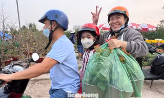 Giá rẻ khó tin: Hoa Tết chỉ 20.000 đồng/chậu ở TPHCM 