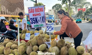 Bất ngờ sầu riêng giá 35.000 đồng/kg: 'Bao ăn, bao đổi'