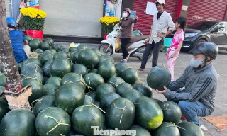 Giá dưa hấu Tết 'rơi tự do' 5.000 đồng/kg 