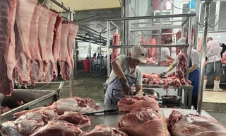 Loạn giá thịt lợn 