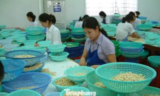 Đàm phán thương mại cần 'ông cho chân giò, bà thò chai rượu'