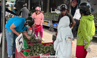 Cam sành, dưa hấu… đổ đống vỉa hè