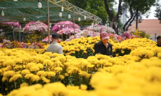 Hoa cười, người khóc ngày 28 Tết