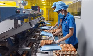 Chi phí 'neo' cao, doanh nghiệp căng mình giữ giá