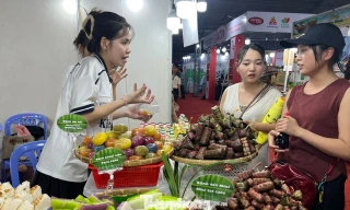 Đặc sản từ khắp nơi quy tụ tại phố đi bộ Nguyễn Huệ