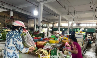 Đau đầu vì giá rau tăng chóng mặt ở TPHCM