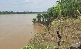 đường bê tông ngõ xóm, tường rào bị nứt.