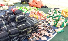 Phát hiện xe khách chở 3 tấn thực phẩm đông lạnh không rõ nguồn gốc