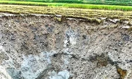 Xuất hiện hố rộng 100m2, sâu hoắm giữa cánh đồng ở Tuyên Quang
