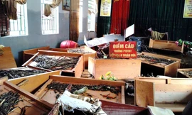 Hình ảnh ngôi trường dân tộc bán trú tại Tuyên Quang ngổn ngang sau mưa lũ