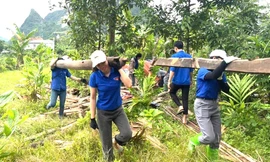 Tuổi trẻ Lào Cai tổng lực ra quân hỗ trợ dự án đường dây 500kV Lào Cai - Vĩnh Yên