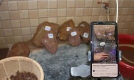 Livestream lừa bán đá thô đục ra có đá qúy, nhóm đối tượng ở Lào Cai cuỗm 10 tỷ đồng