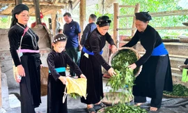 Khi cây chè trở thành điểm tựa giảm nghèo bền vững ở Thanh Thủy