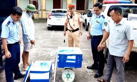 Phú Thọ: Thu nộp ngân sách hơn 362 tỷ từ các vụ buôn lậu, hàng giả, hàng nhái