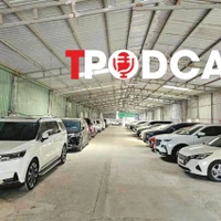 Thị trường thuê xe tự lái Tết 2026: Khách giảm dù giá thuê không giảm