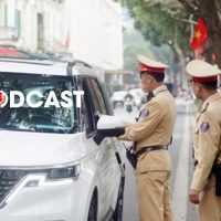 Những lỗi vi phạm giao thông tài xế hay mắc phải dịp Tết