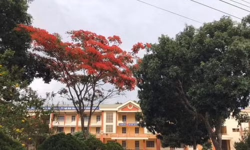 Thông tin thí sinh tại Đắk Lắk dùng điện thoại giải đề thi là sai sự thật