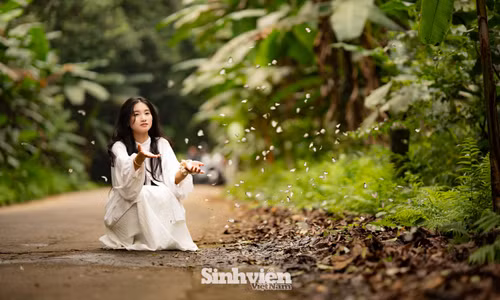 Giới trẻ nườm nượp 'bỏ phố về rừng' Cúc Phương check-in mùa bướm