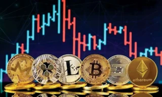 Cựu cán bộ trường đại học chiếm đoạt 11 tỷ đồng của cháu họ rồi 'nướng' vào sàn Forex