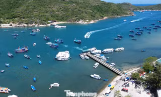 Từ làng chài hoang sơ đến kiệt tác vịnh biển đẹp nhất Việt Nam