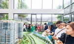 Dự án nhà ở khu vực giáp ranh Bình Dương cũ với TPHCM thu hút khách hàng